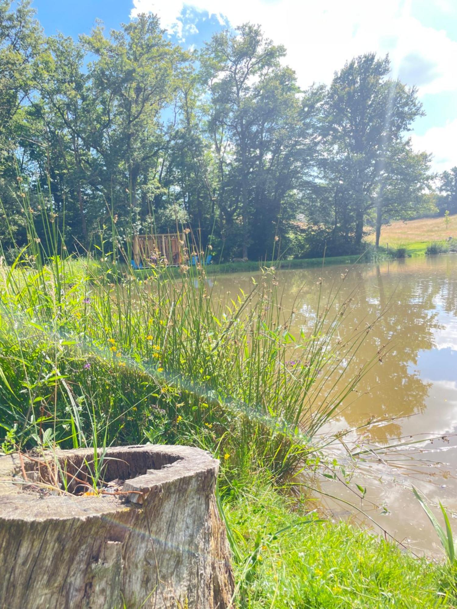 Gite Neuf Avec Jardin, Foret Et Etang Argenton Sur Creuse Zewnętrze zdjęcie